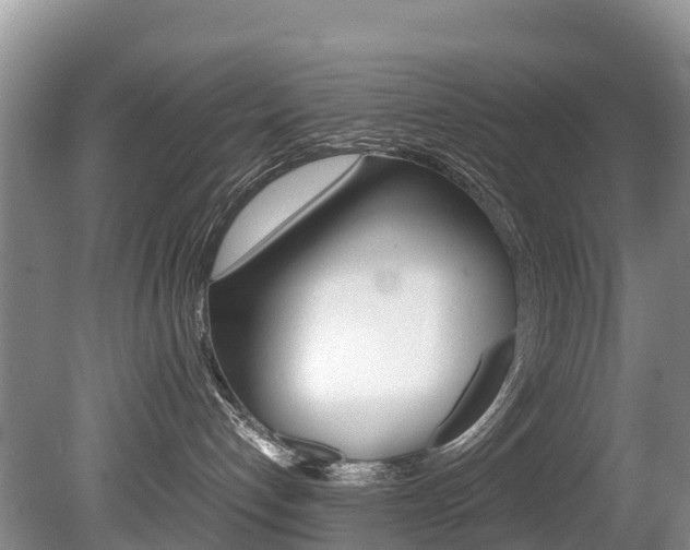 X0000080710192200612150912