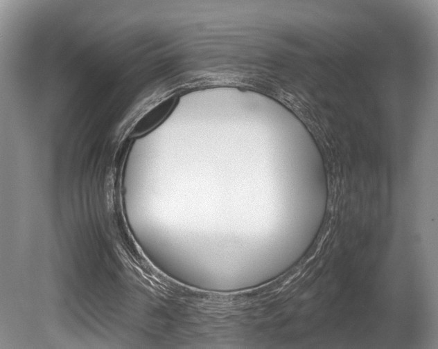 X0000080710194200612150911