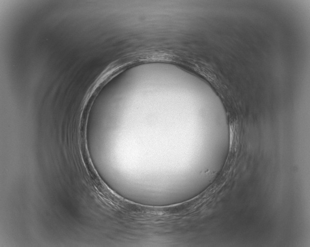 X0000080710195200612150911