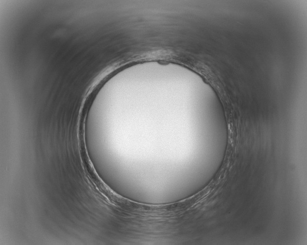 X0000080710196200612150911