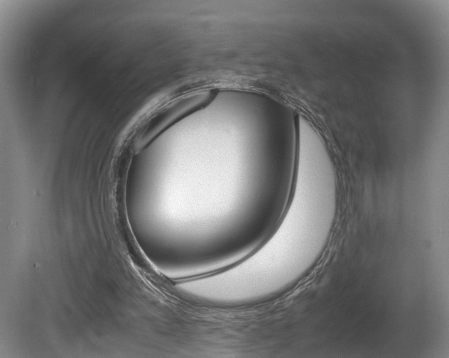 X0000080710197200612150911
