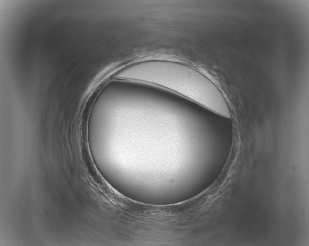 X0000080710199200612150911