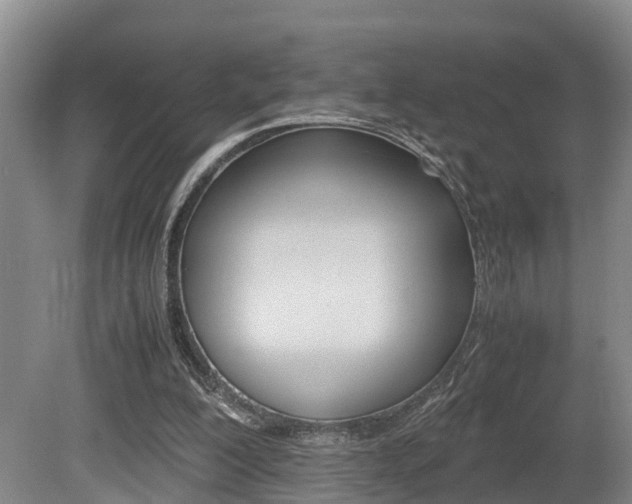 X0000080710200200612150911