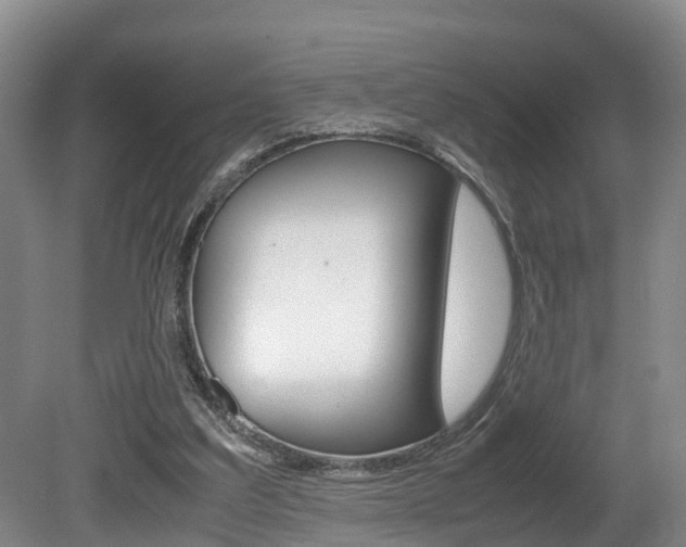 X0000080710203200612150911