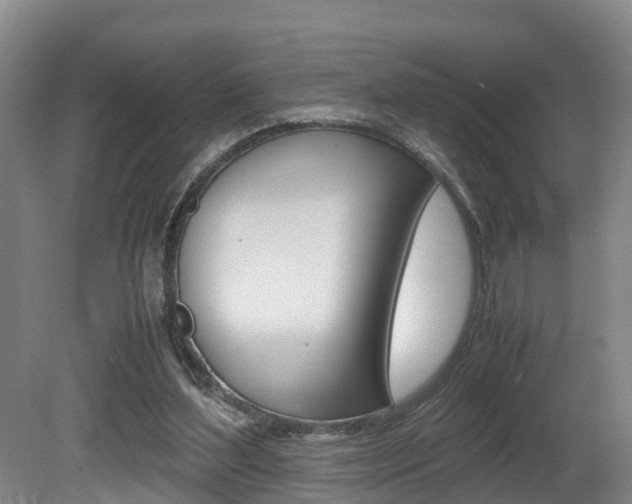 X0000080710204200612150911