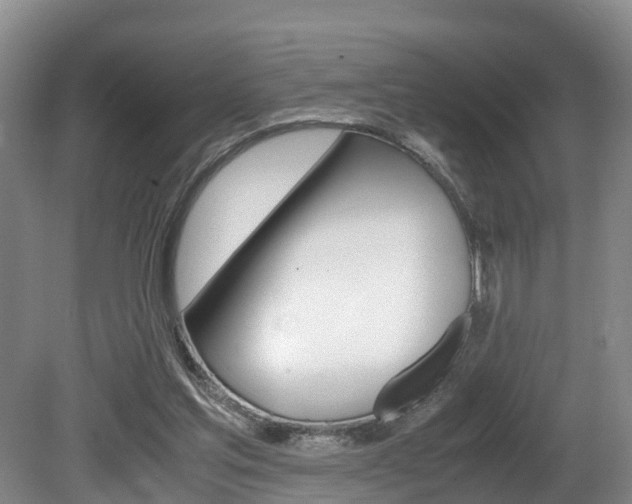 X0000080710205200612150911