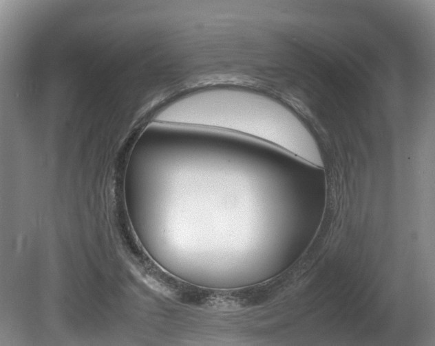 X0000080710207200612150911