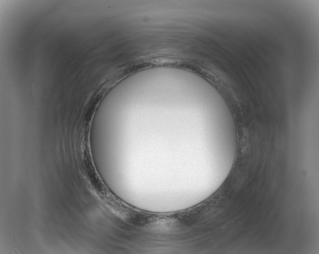 X0000080710210200612150911
