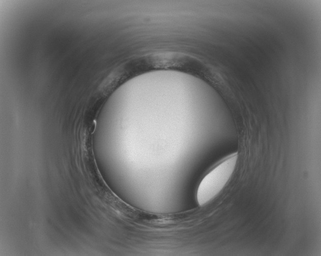 X0000080710219200612150911
