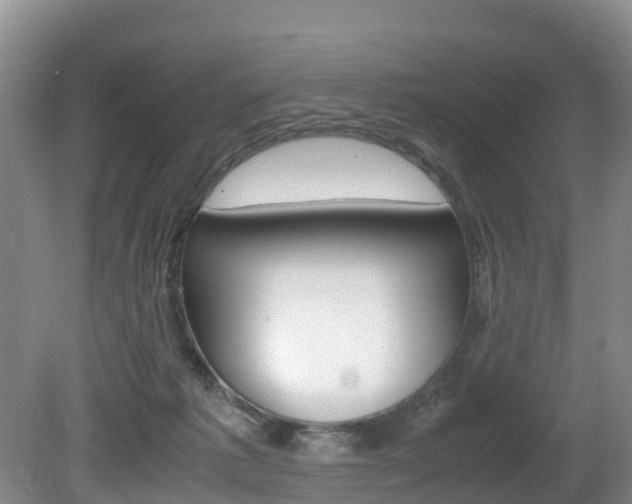 X0000080710221200612150911