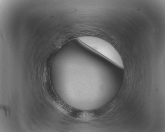 X0000080710223200612150911