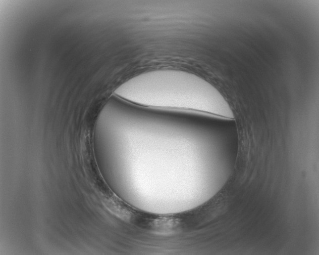X0000080710225200612150911