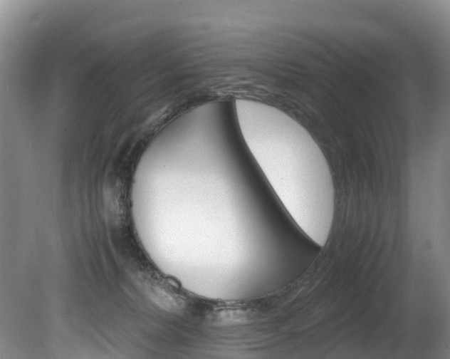 X0000080710228200612150911