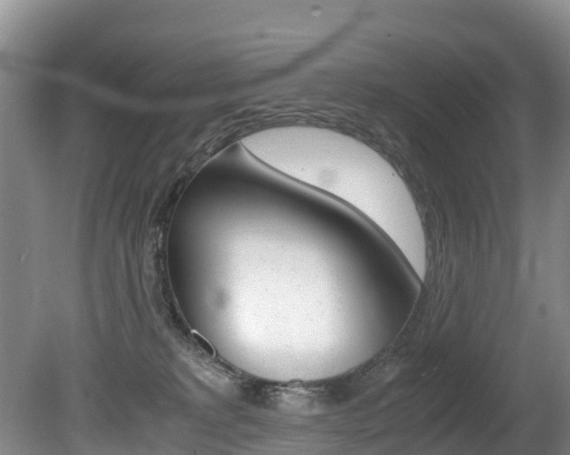 X0000080710229200612150911