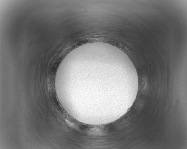 X0000080710236200612150910