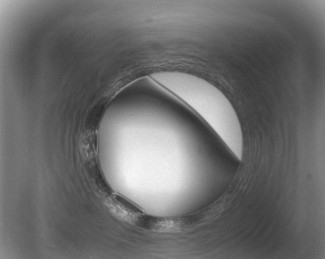 X0000080710237200612150910