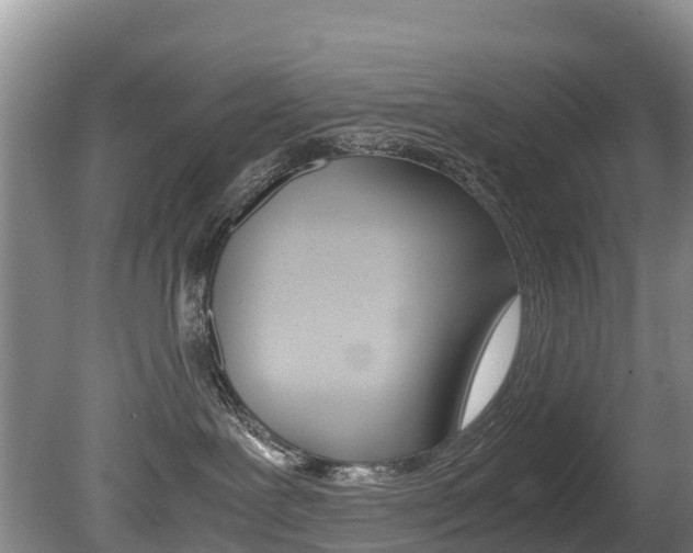 X0000080710239200612150910