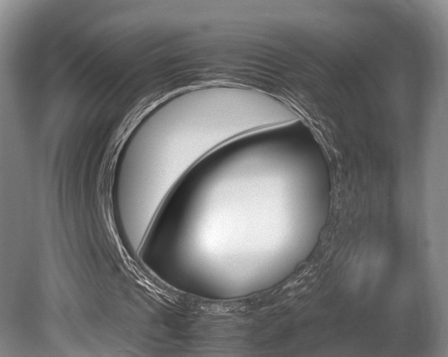 X0000080710241200612150910