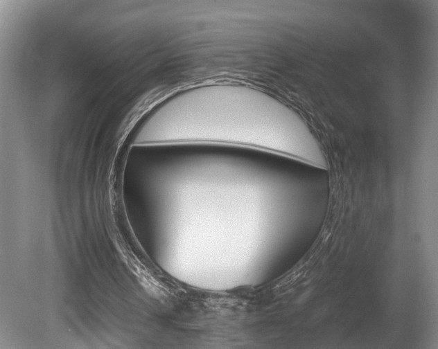 X0000080710242200612150910