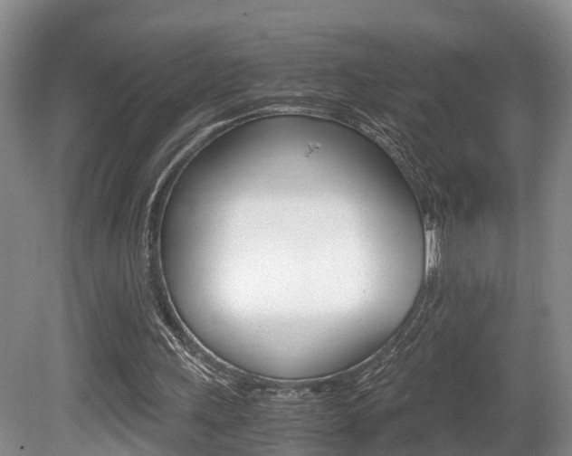 X0000080710243200612150910