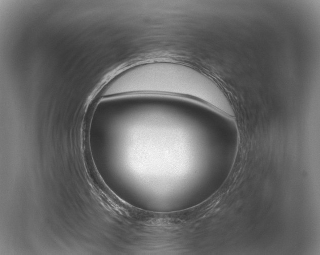 X0000080710244200612150910