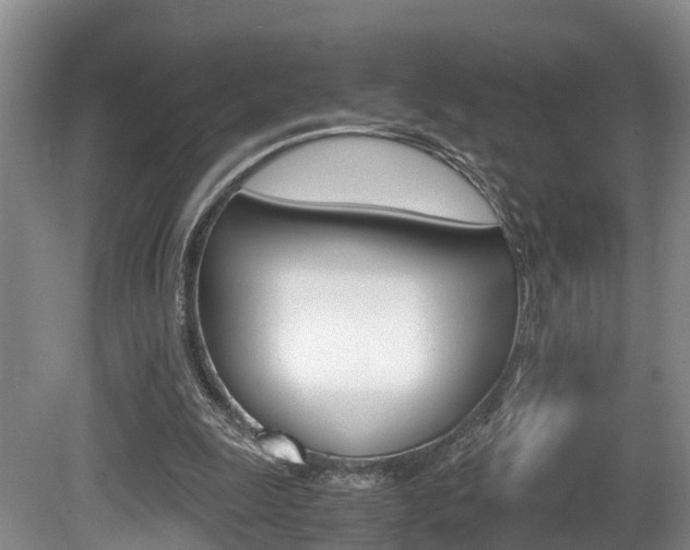 X0000080710247200612150910