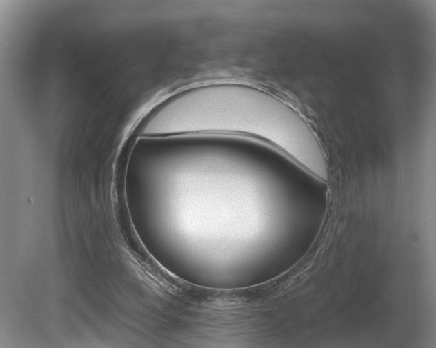 X0000080710248200612150910