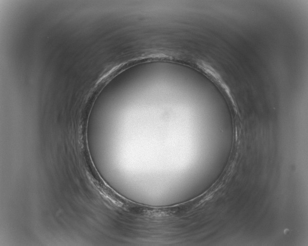 X0000080710249200612150910