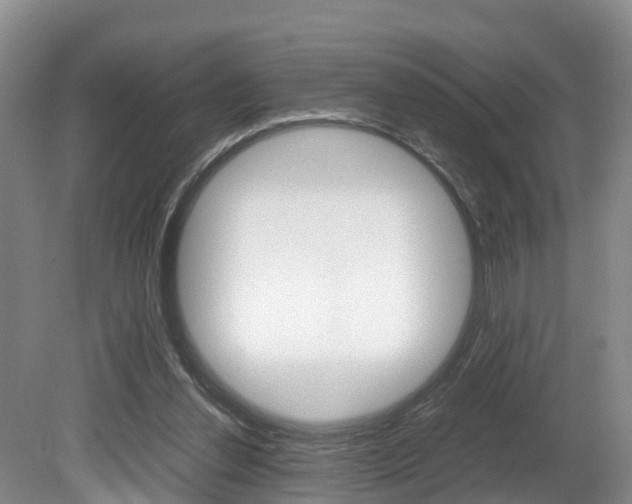 X0000080710252200612150910