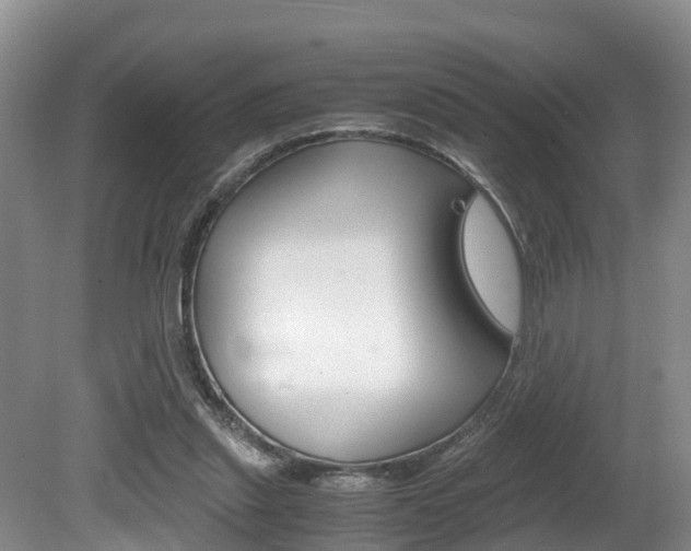 X0000080710253200612150910