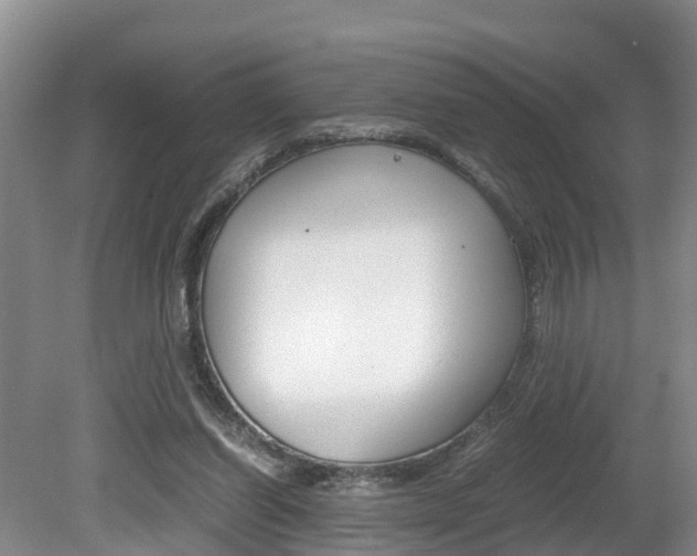 X0000080710254200612150910