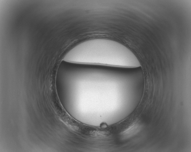 X0000080710255200612150910