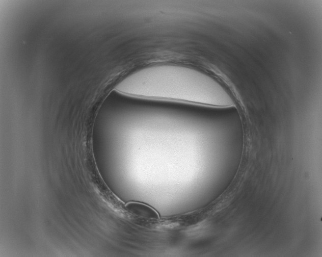 X0000080710257200612150910