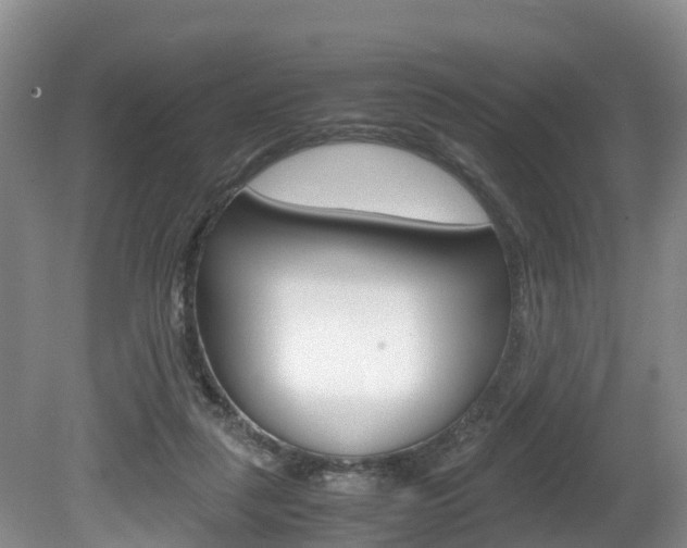 X0000080710259200612150910