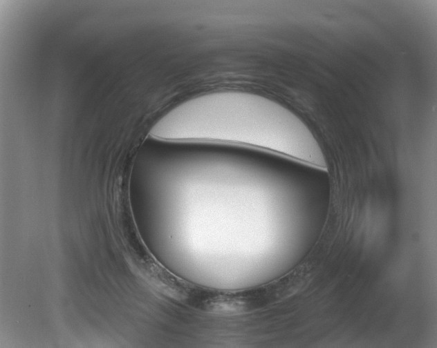 X0000080710263200612150910