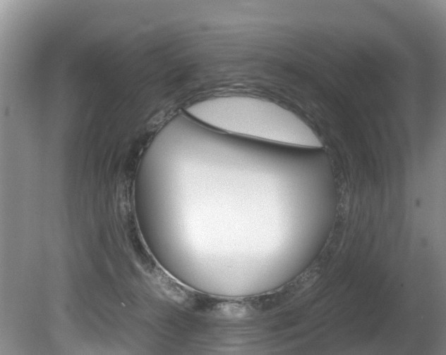 X0000080710272200612150910