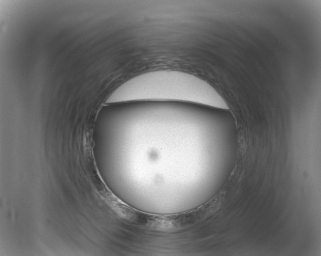X0000080710276200612150910