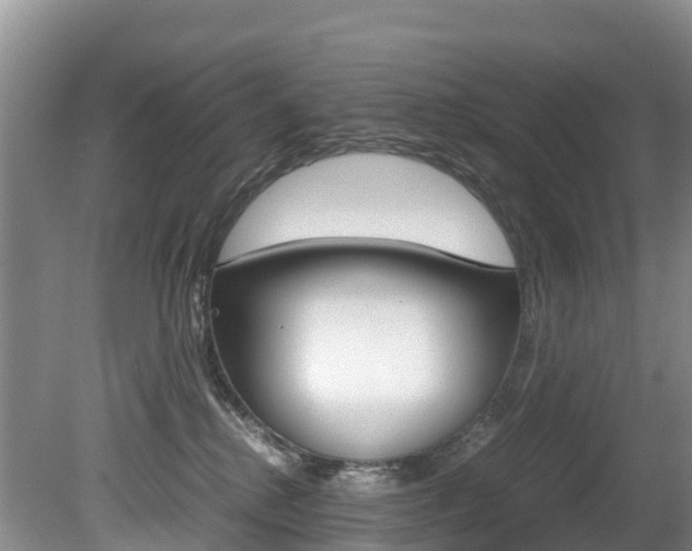 X0000080710280200612150910