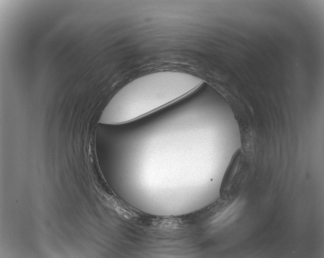 X0000080710282200612150910