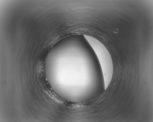 X0000080710284200612150910
