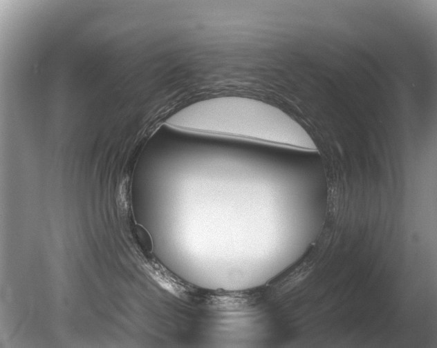 X0000080710286200612150910