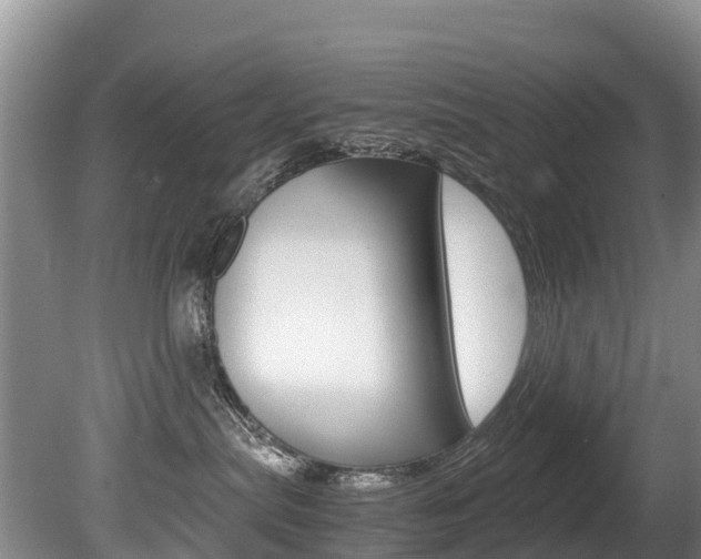 X0000080710287200612150910