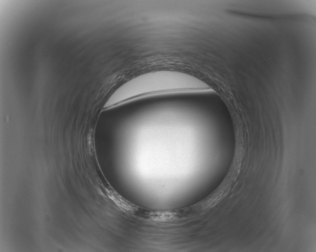 X0000080710288200612150910