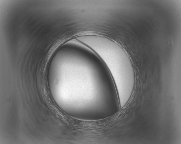 X0000080710289200612150910