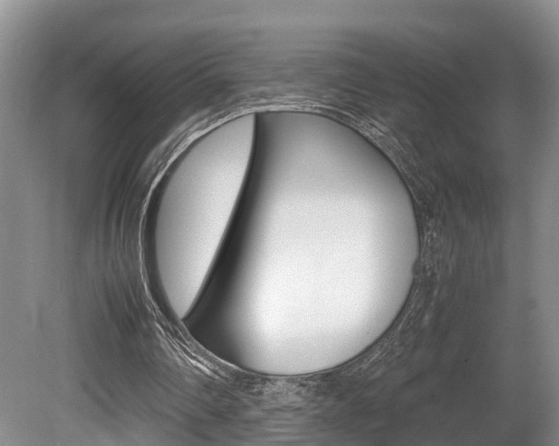 X0000080710290200612150910