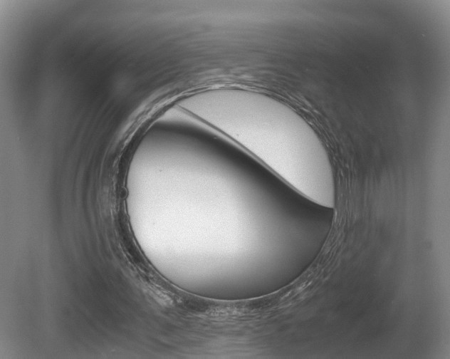 X0000080710291200612150910