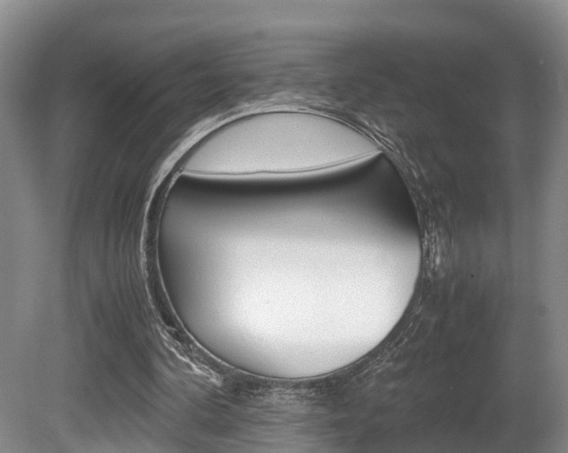 X0000080710292200612150910