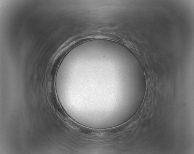 X0000080710295200612150909