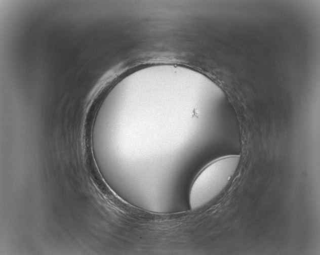 X0000080710296200612150909