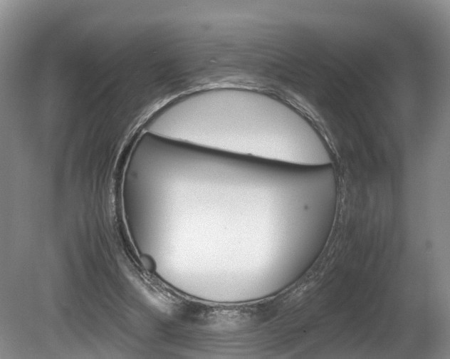 X0000080710298200612150909